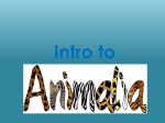 Animalia Part 1: Invertebrates
