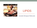 Lipids - Westgate Mennonite Collegiate