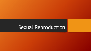 Sexual Reproduction