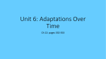 Unit 6: Adaptations Over Time