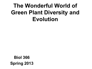 Plant Anatomy: Intro to Plant Reproduction