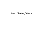food web - IHMC Public Cmaps (3)