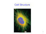 Cell-Theory-and-Structure-reduced-photos-for
