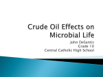 John DeSantis Crude Oil Effects on Microbial Life