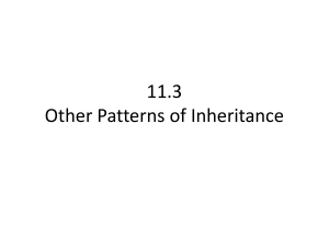 11.3 Other Patterns of Inheritance