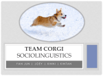 [W7 T10] Sociolinguistics – Team Corgi