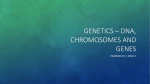 Genetics * Dna, chromosomes and genes - Yr10