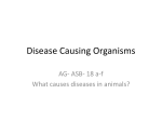 Disease Causing Organisms
