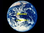 Biomes