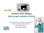 Lab (10): Routine Urine Analysis Microscopic Analysis of Urine