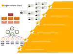 Org Chart Guide