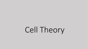 Cell Theory and the Scientists