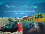 The Nature of Zoology