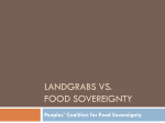 Actual experience - People`s Coalition on Food Sovereignty