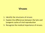 Viruses - Humble ISD