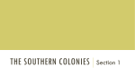 The Southern Colonies - Mater Academy Lakes High School