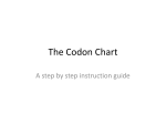 The Codon Chart