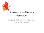 Stewardship Of Natural Resources