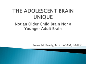 Adolescent Brain