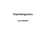 20THPsycholinguistics