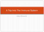 A Trip Into The Immune System