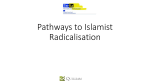 Pathways to Islamist Radicalisation