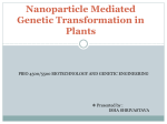 Nanoparticle Mediated Genetic Transformation in Plants