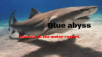 Blue abyss - WordPress.com