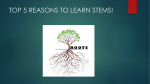 TOP 5 REASONS TO LEARN STEMS!