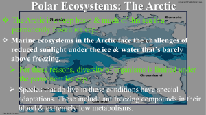 Polar Ecosystems: The Arctic