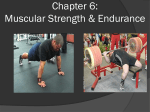 Muscular strength