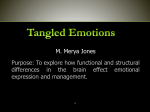 Tangled Emotions Presentation- M. Jones