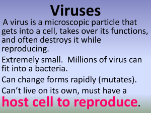 Chapter 21 Viruses