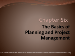 The Basics of Planning and Project Management