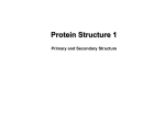 biochemistry/docs/Protein structure 1