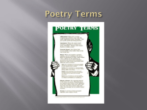 Poetry Terms Paradox