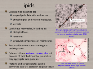 Lipids - csfcbiology