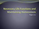 Maintaining Life: Necessary Life Functions