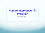 Human intervention in evolution