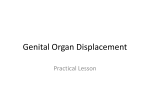 Genital Organ Displacement