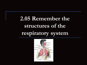 2.03 Understand the respiratory system