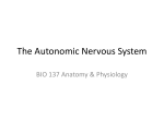 The Autonomic Nervous System - Ashland Independent Schools