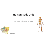 Human Body Unit - albionapbiology