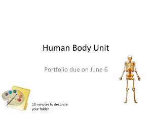Human Body Unit - albionapbiology