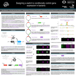 Symposium Poster - uospur