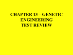 CHAPTER 13 * GENETIC ENGINEERING TEST REVIEW