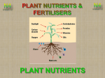 Lesson 1 - Why we need fertilisers