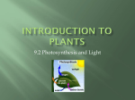 Introduction to Plants