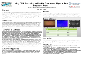 Using DNA Barcoding to Identify Freshwater Algae in Two Bodies of