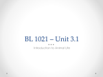BL 1021 – Unit 3-1